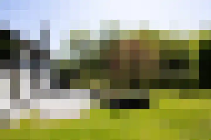 Jachtlaan 1 Wezep thumbnail 55