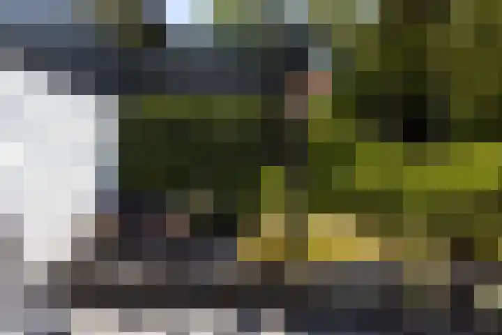 Jachtlaan 1 Wezep thumbnail 56