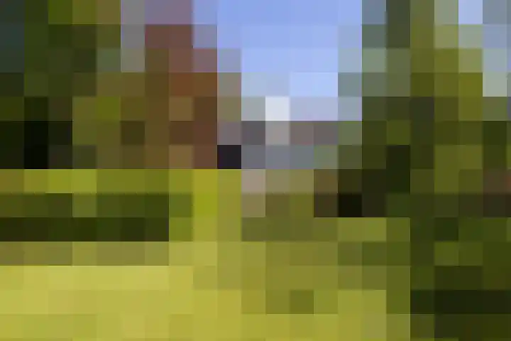 Jachtlaan 1 Wezep thumbnail 57