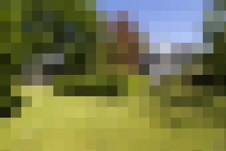 Jachtlaan 1 Wezep thumbnail 58