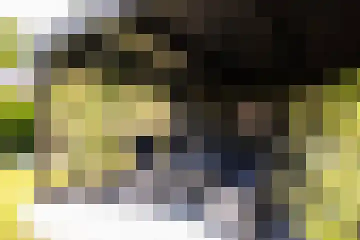 Jachtlaan 1 Wezep thumbnail 59