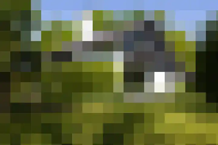 Jachtlaan 1 Wezep thumbnail 6