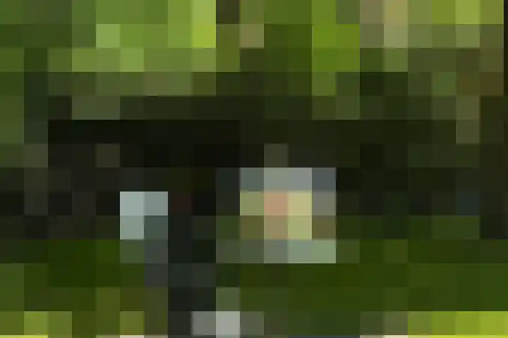 Jachtlaan 1 Wezep thumbnail 60