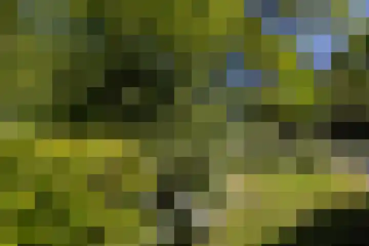 Jachtlaan 1 Wezep thumbnail 61