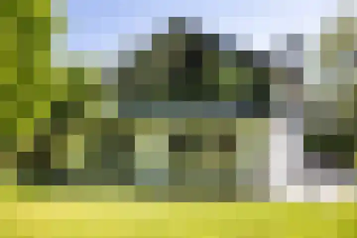 Jachtlaan 1 Wezep thumbnail 62