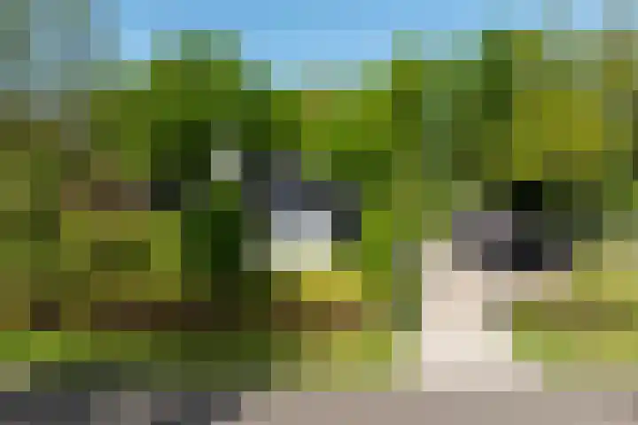 Jachtlaan 1 Wezep thumbnail 63