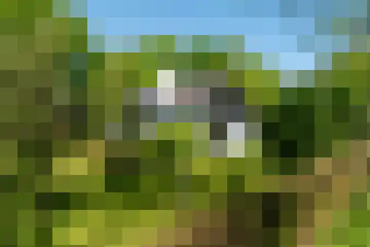 Jachtlaan 1 Wezep thumbnail 64