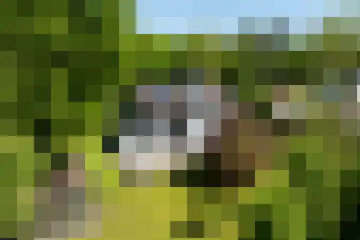 Jachtlaan 1 Wezep thumbnail 65