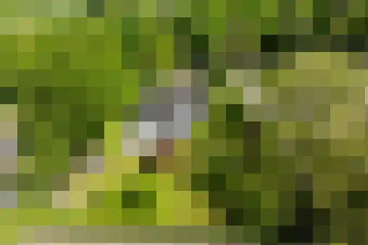Jachtlaan 1 Wezep thumbnail 66