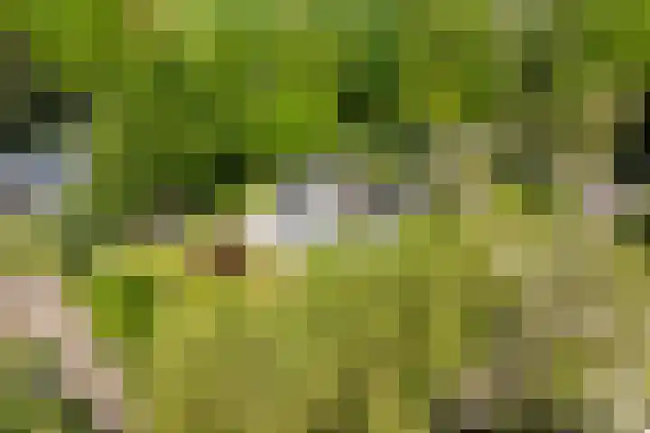 Jachtlaan 1 Wezep thumbnail 67