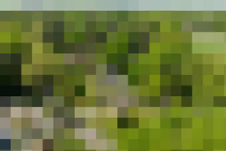 Jachtlaan 1 Wezep thumbnail 68