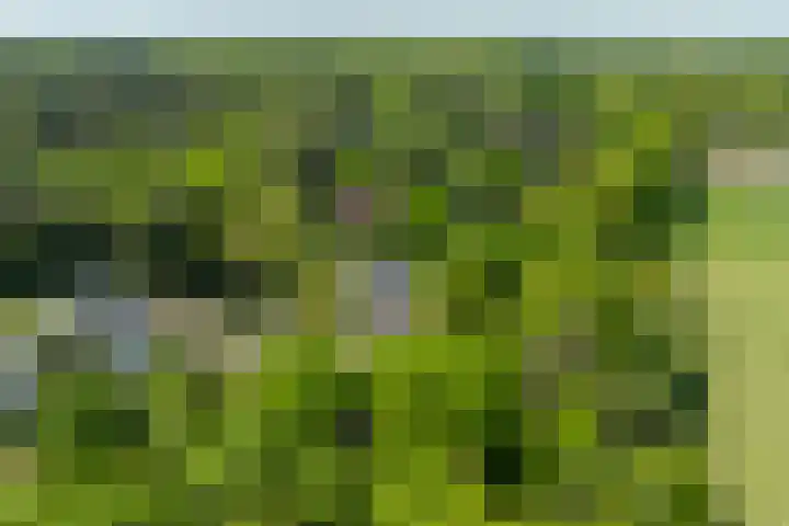 Jachtlaan 1 Wezep thumbnail 69