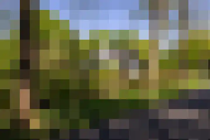 Jachtlaan 1 Wezep thumbnail 7