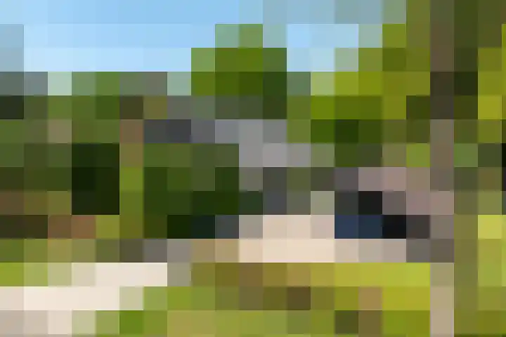 Jachtlaan 1 Wezep thumbnail 8