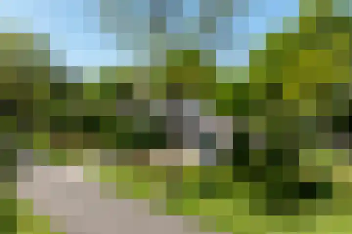 Jachtlaan 1 Wezep thumbnail 9