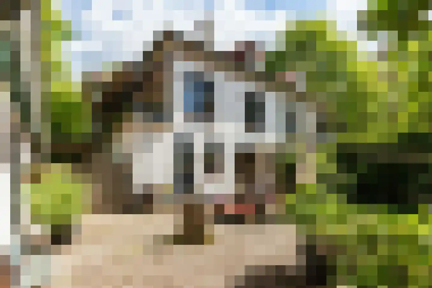 Jachtlaan 10 Apeldoorn thumbnail 64