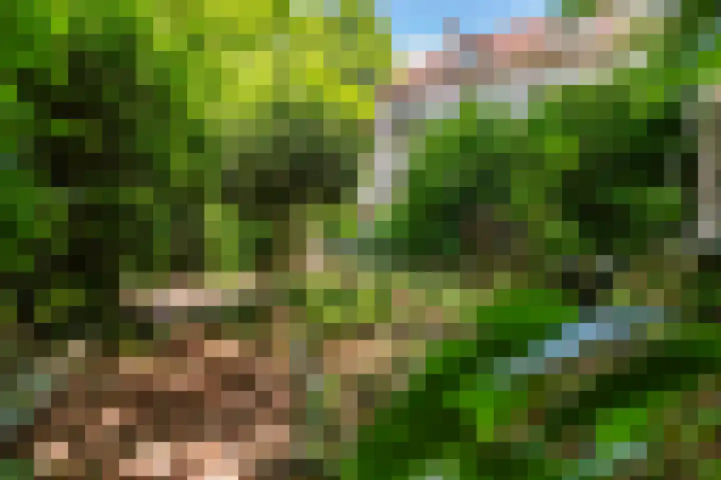 Jachtlaan 10 Apeldoorn thumbnail 66
