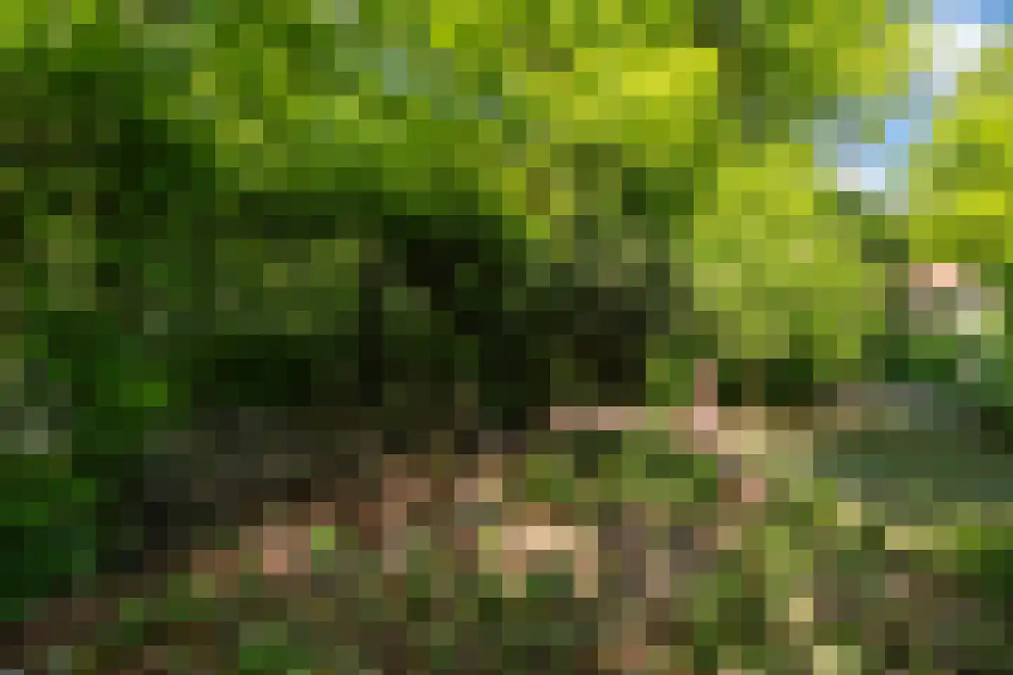 Jachtlaan 10 Apeldoorn thumbnail 67