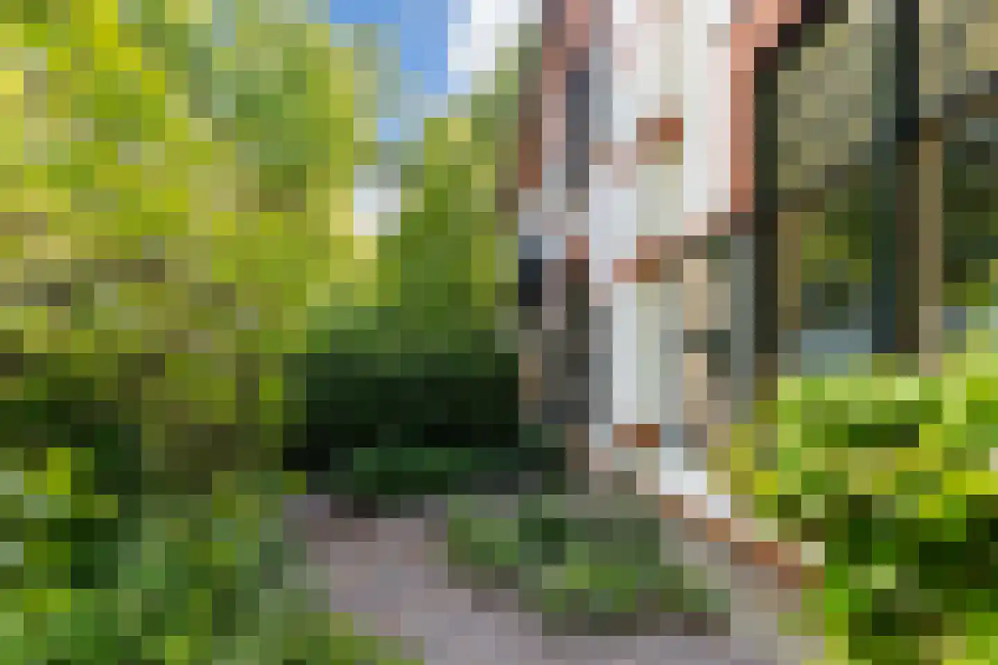 Jachtlaan 10 Apeldoorn thumbnail 69
