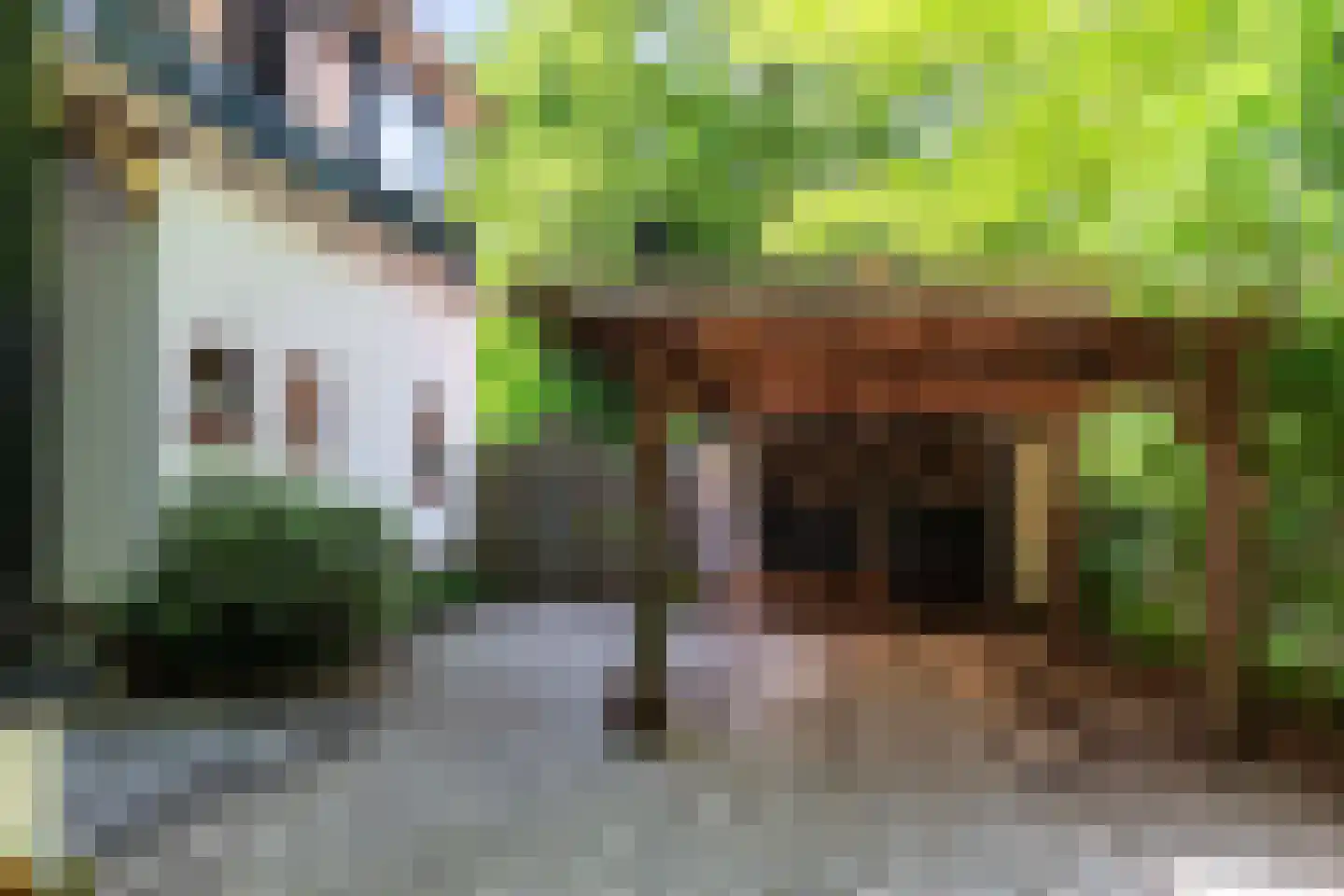 Jachtlaan 10 Apeldoorn thumbnail 70