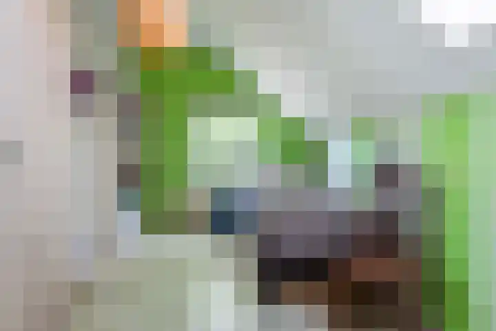 Jachtlaan 107 Apeldoorn thumbnail 23