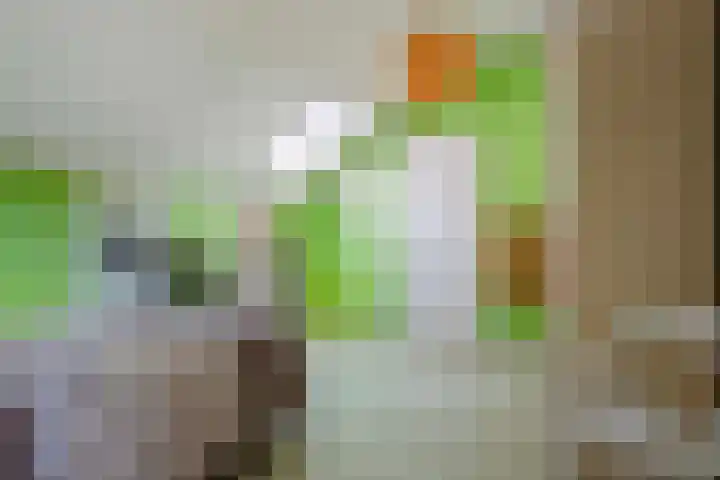Jachtlaan 107 Apeldoorn thumbnail 24