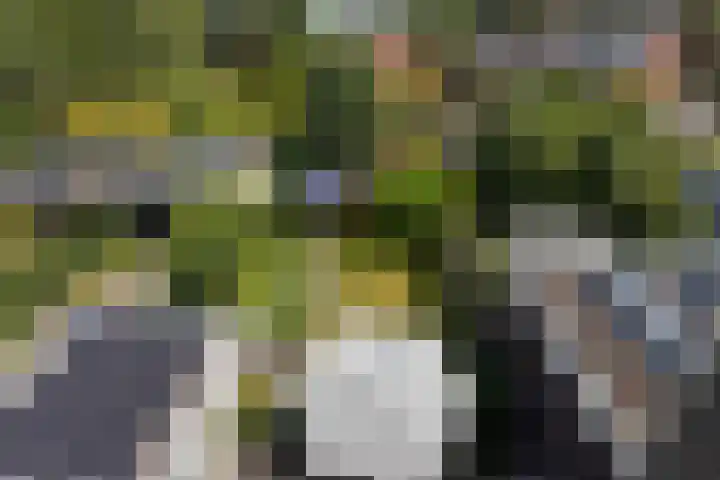 Jachtlaan 107 Apeldoorn thumbnail 25