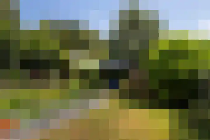 Jachtlaan 107 Apeldoorn thumbnail 26