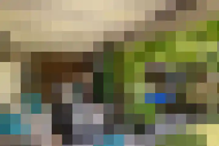 Jachtlaan 107 Apeldoorn thumbnail 27