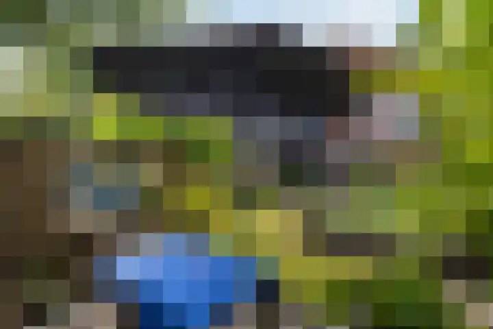 Jachtlaan 107 Apeldoorn thumbnail 29