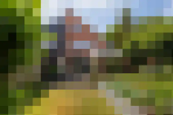 Jachtlaan 107 Apeldoorn thumbnail 30