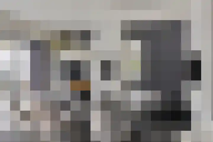 Jachtlaan 109 Apeldoorn thumbnail 12