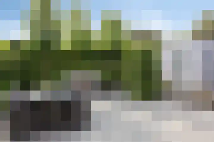 Jachtlaan 109 Apeldoorn thumbnail 17