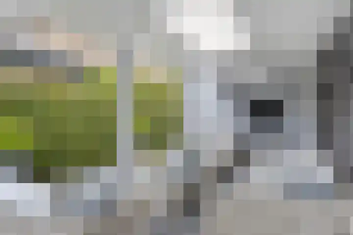 Jachtlaan 109 Apeldoorn thumbnail 19
