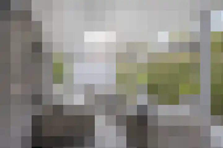 Jachtlaan 109 Apeldoorn thumbnail 20