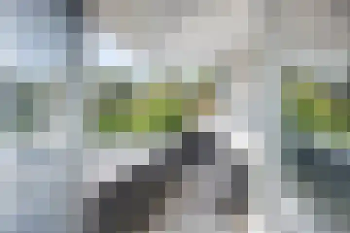 Jachtlaan 109 Apeldoorn thumbnail 29
