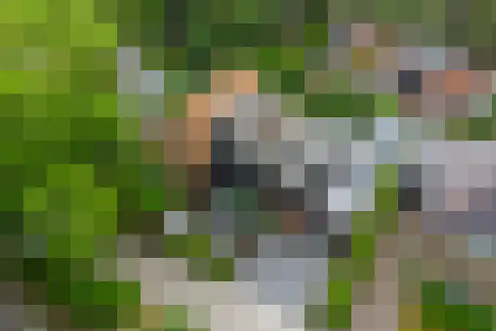 Jachtlaan 109 Apeldoorn thumbnail 34