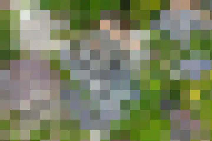 Jachtlaan 109 Apeldoorn thumbnail 36