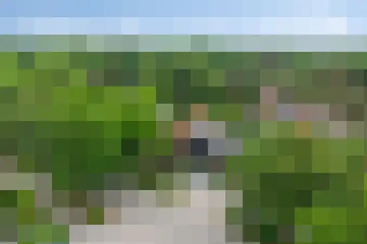 Jachtlaan 109 Apeldoorn thumbnail 4