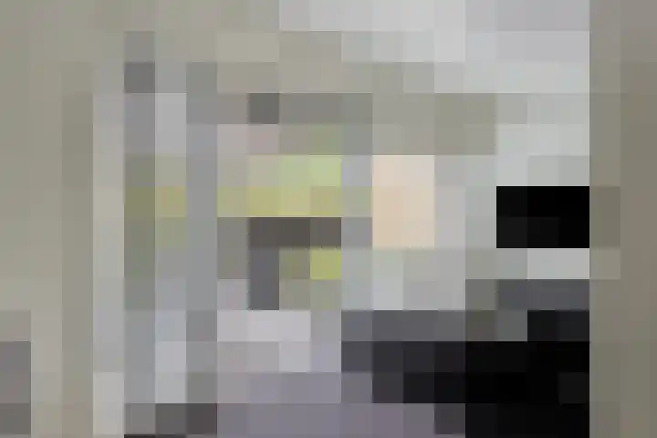 Jachtlaan 109 Apeldoorn thumbnail 9