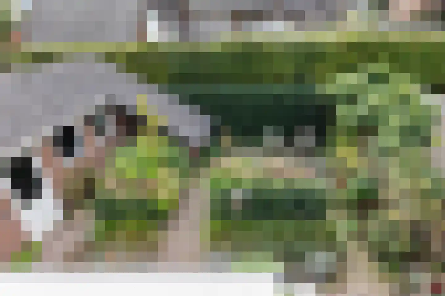 Jachtlaan 117 Apeldoorn thumbnail 30