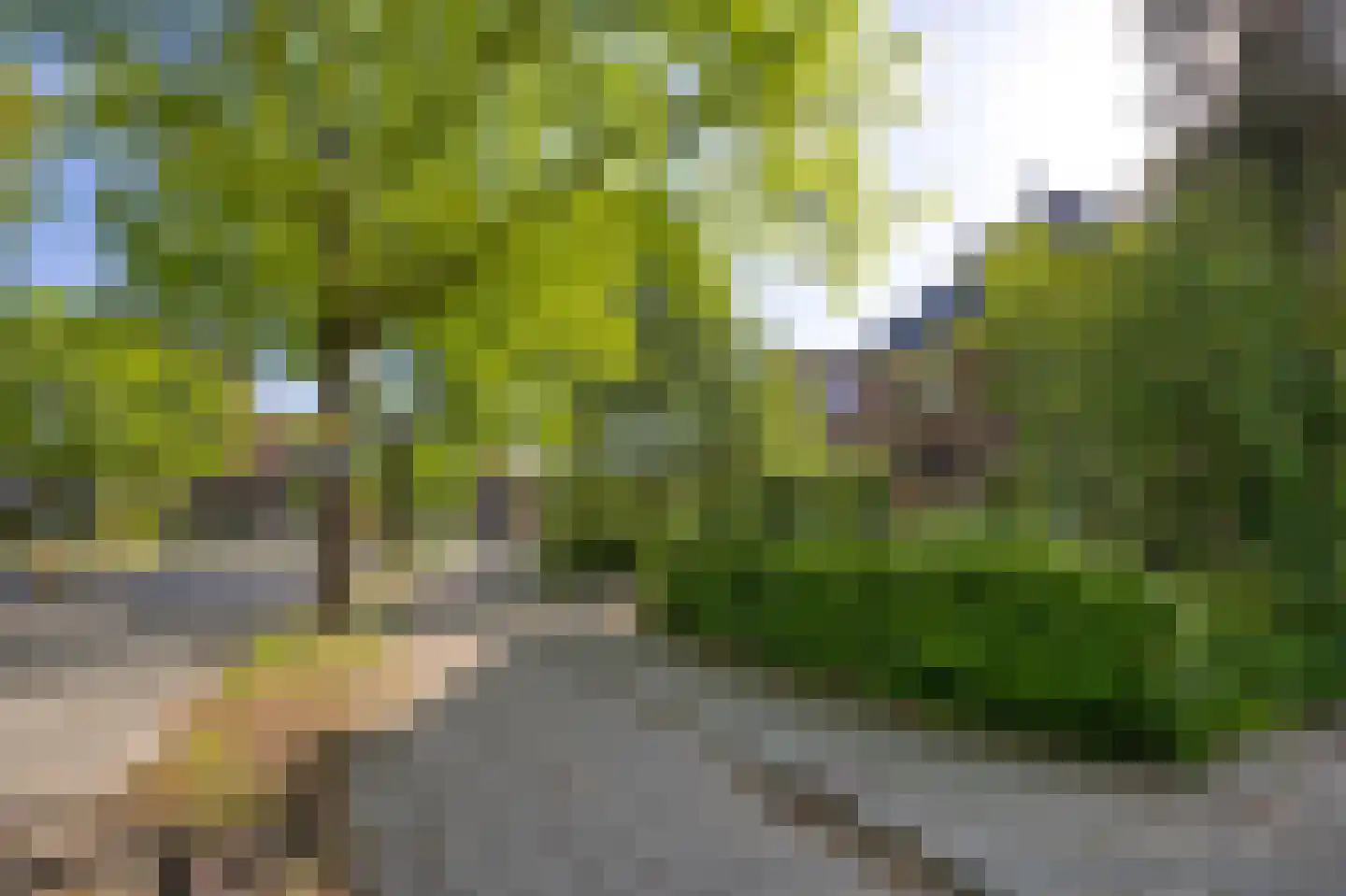 Jachtlaan 117 Apeldoorn thumbnail 35