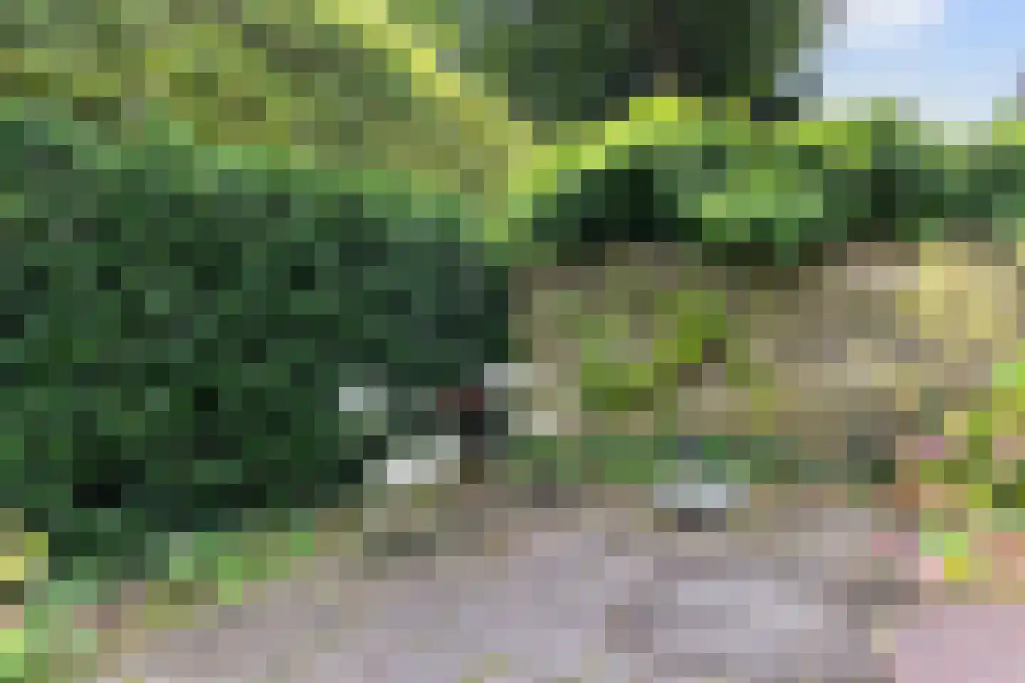 Jachtlaan 117 Apeldoorn thumbnail 39