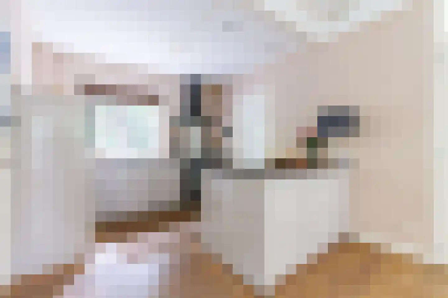 Jachtlaan 117 Apeldoorn thumbnail 4