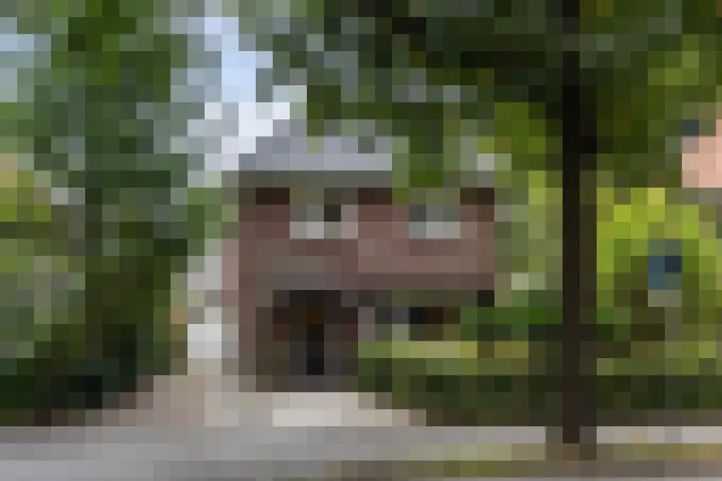 Jachtlaan 117 Apeldoorn thumbnail 45
