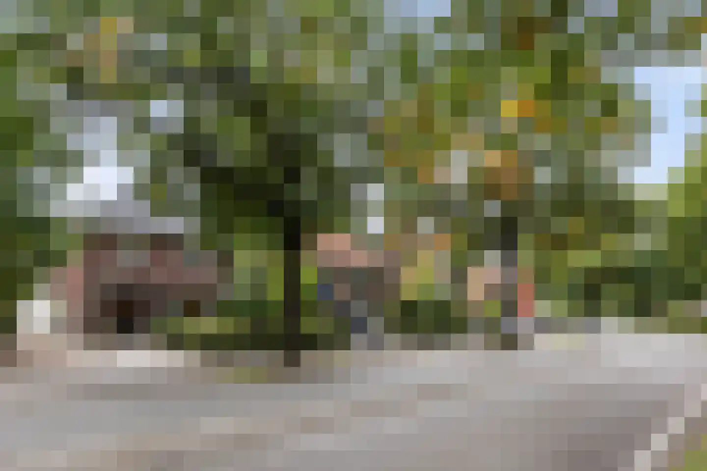 Jachtlaan 117 Apeldoorn thumbnail 47