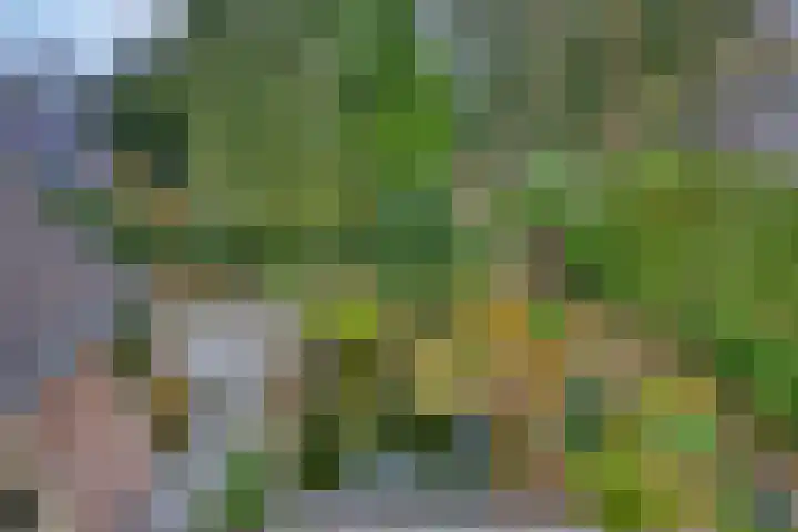 Jachtlaan 137 Apeldoorn thumbnail 20