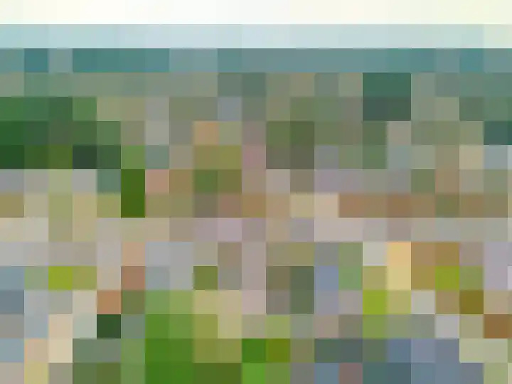Jachtlaan 137 Apeldoorn thumbnail 28