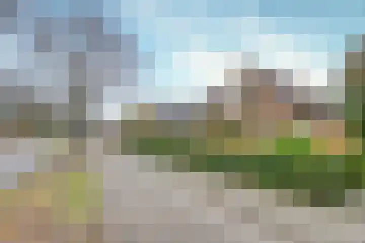 Jachtlaan 137 Apeldoorn thumbnail 30