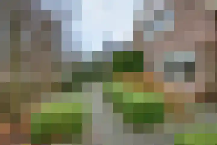 Jachtlaan 137 Apeldoorn thumbnail 31